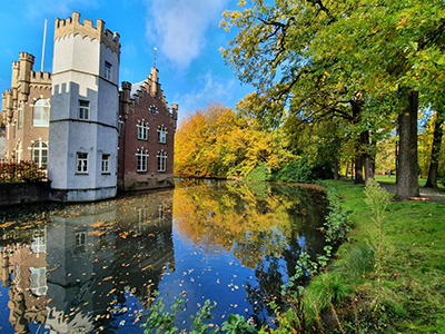 Read more about the article The leaves of Castle Stapelen